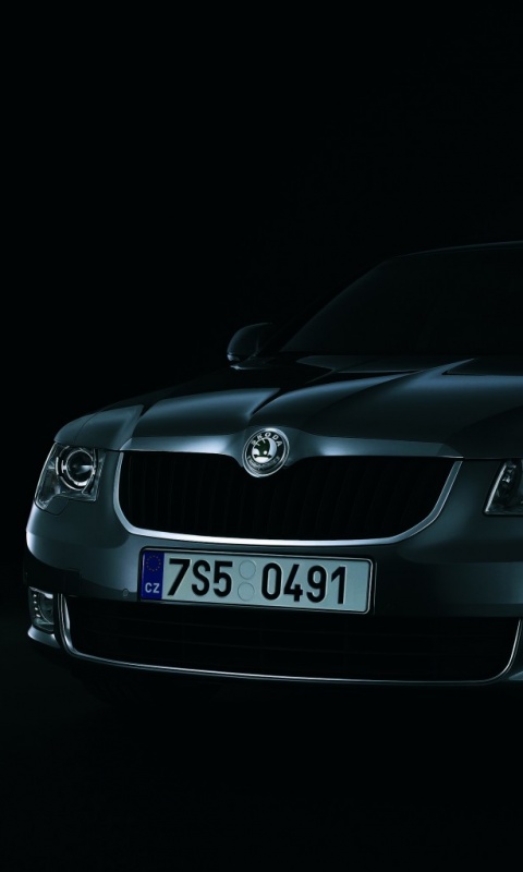 Шкода в темноте обои