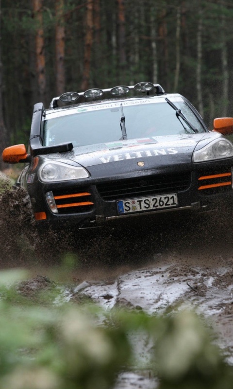 Ралли Porsche обои