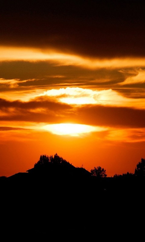 Оранжевый закат обои