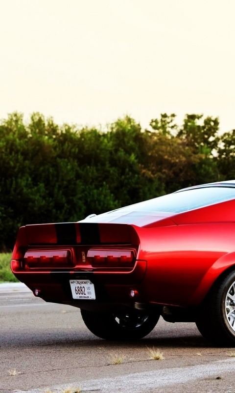 Shelby GT500 CR обои