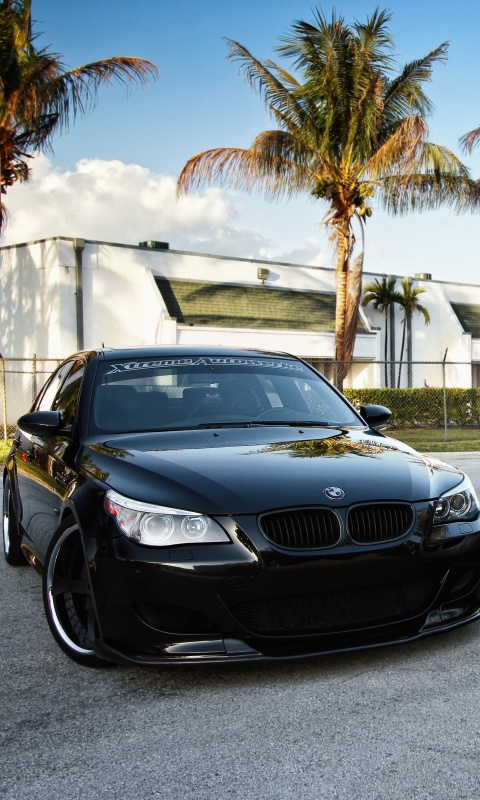 Две БМВ обои