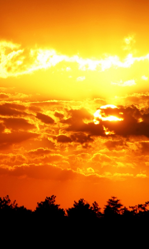 Ярко-оранжевое закатное небо обои