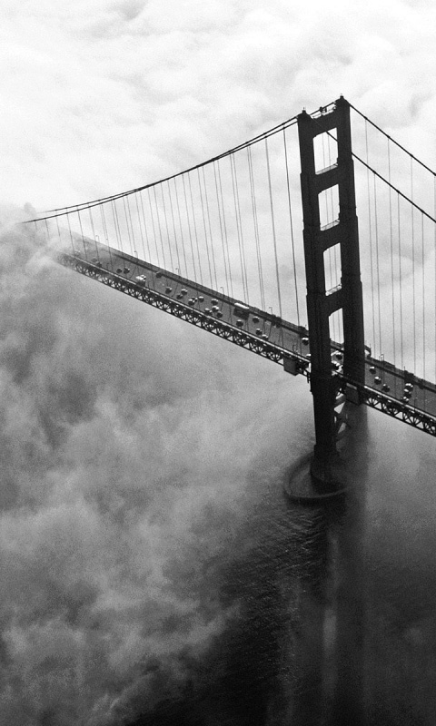 Мост Золотые ворота утопает в тумане обои