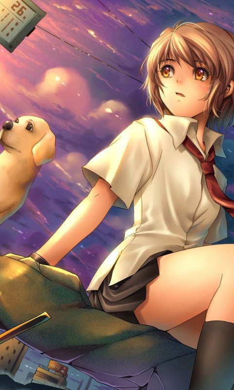 Девочка с собакой обои