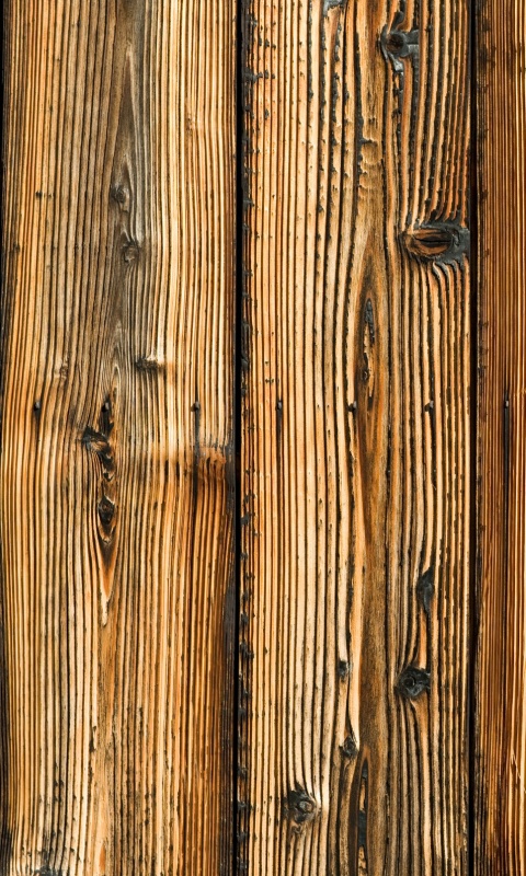 Фактура дерева обои