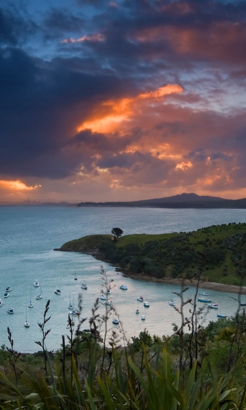 Waiheke Island, New Zealand обои