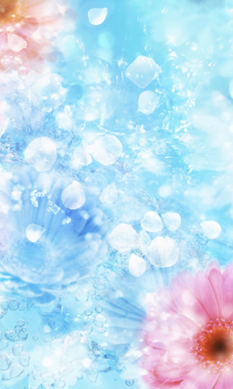 Цветочная эйфория обои