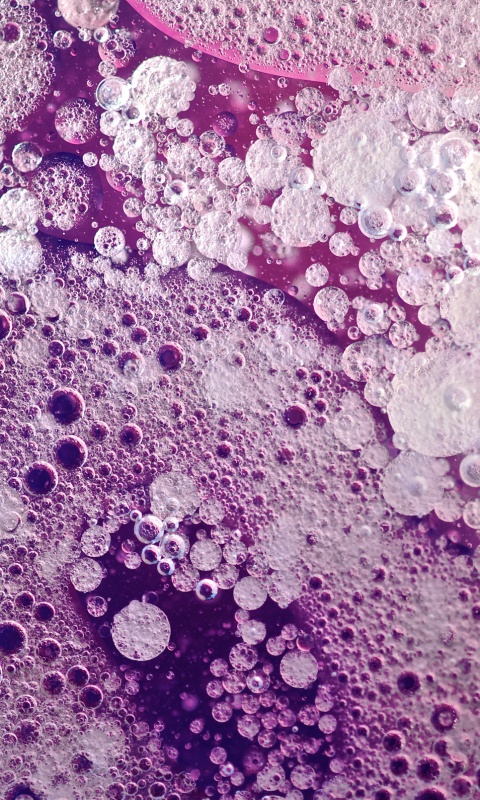 Реакция Вассермана в фиолетовых тонах обои