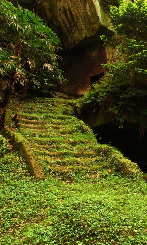 Старинный лесной храм обои