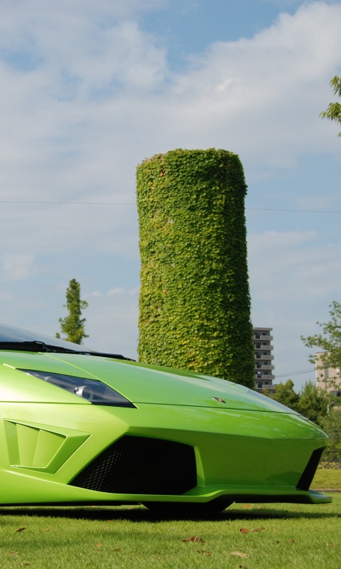 Зелёный Ламборджини на траве обои