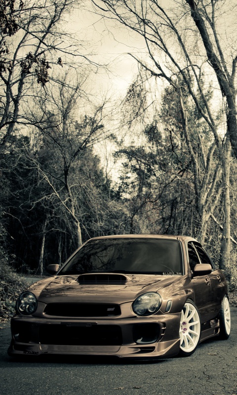 Субару Импреза на лесной дороге обои