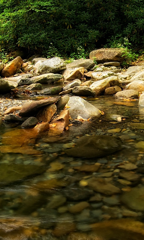 Гораня река обои