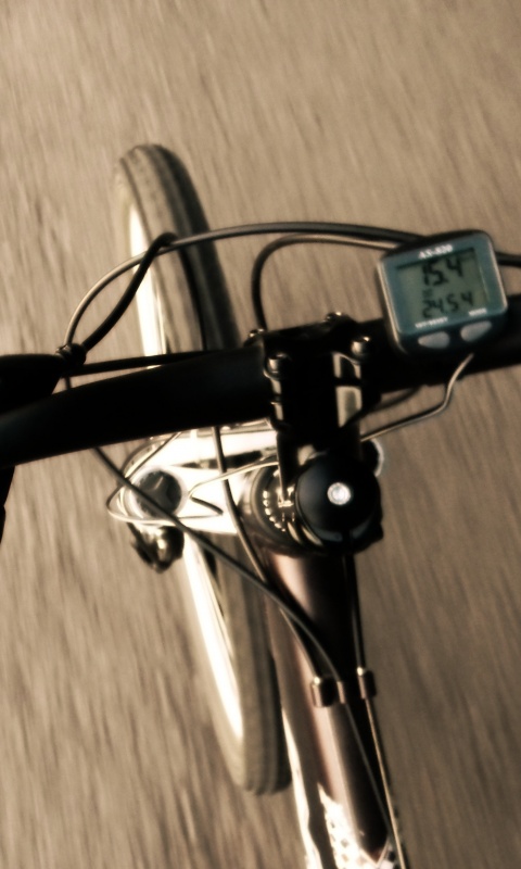 Катание на велосипеде обои