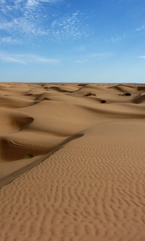 Пустыня до самого горизонта обои