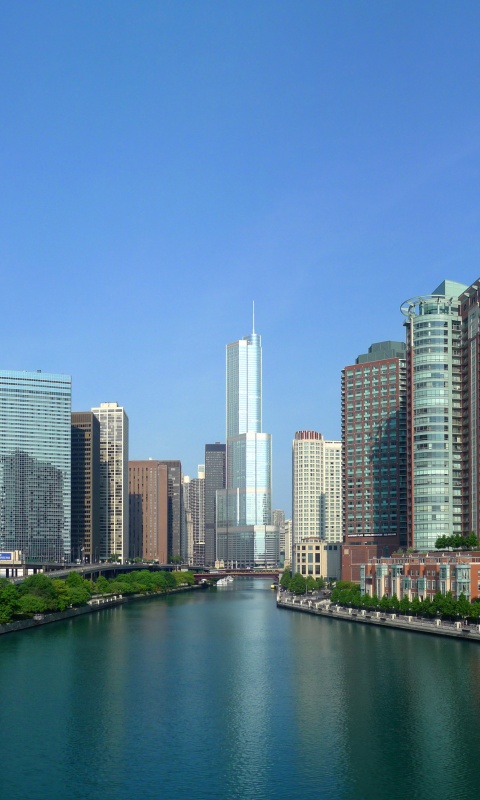 Вид на Чикаго обои