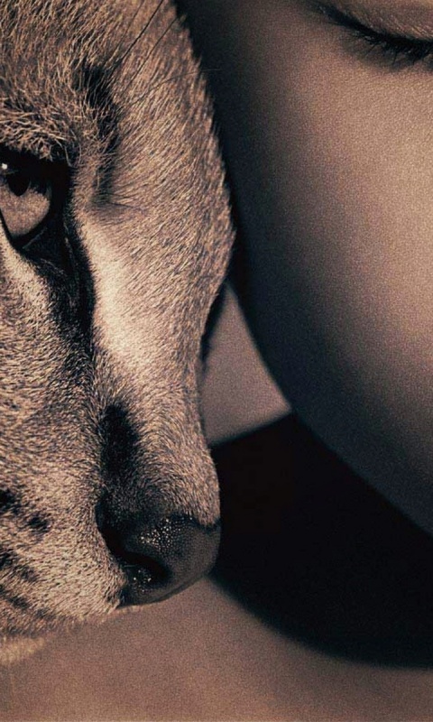 Человек и природа обои