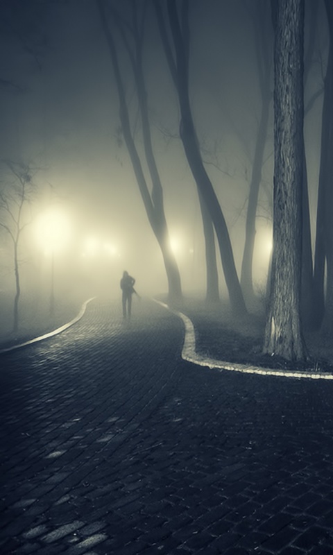 Пустынный лабиринт парковых дорожек обои