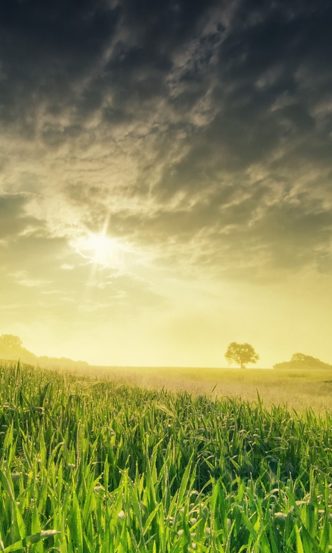 Безмятежность обои