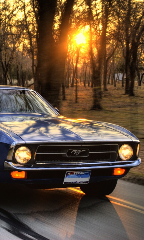 Мустанг обои