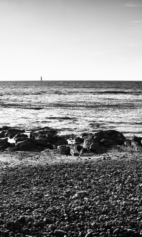 Чёрно-белое фото побережья обои