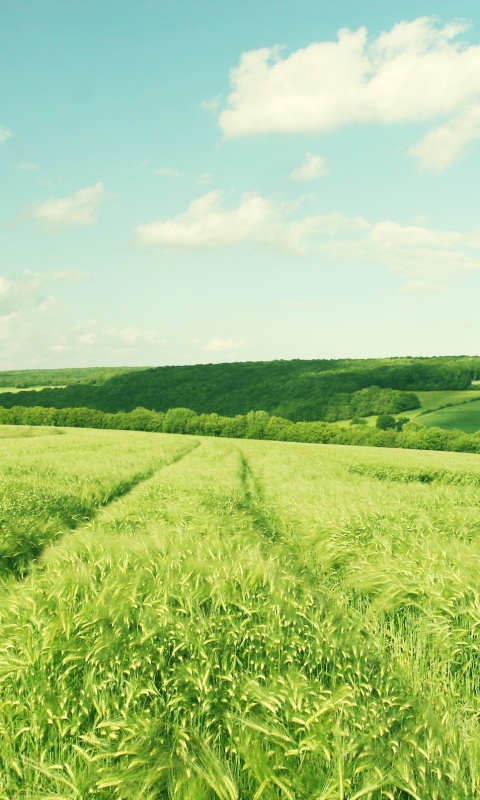 Бескрайние просторы обои