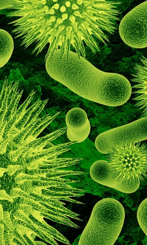 Бактерии обои