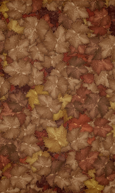 Осенние листья обои