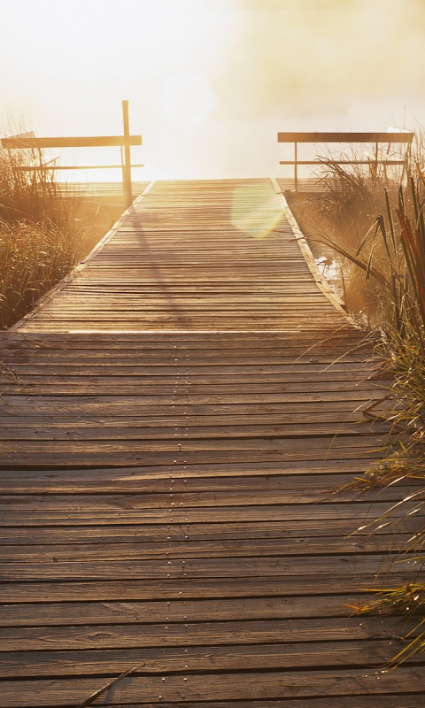 Выход к реке обои