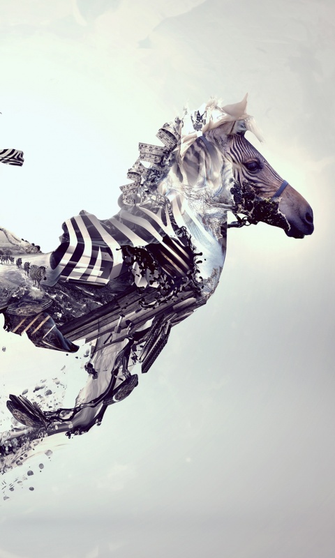 Зебра и бонсай обои