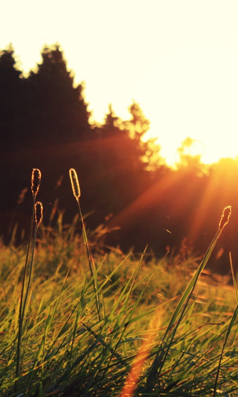 Красота природы обои