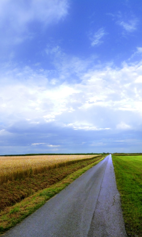 Сельский пейзаж обои