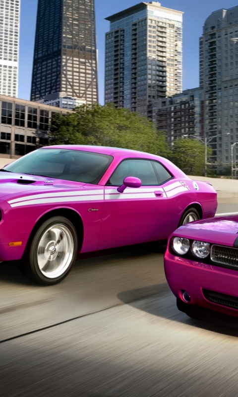 Два розовых мускулкара обои