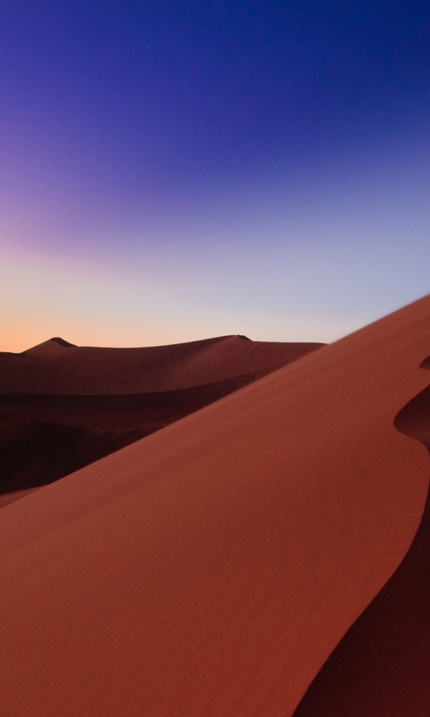 Люны в Намибии обои