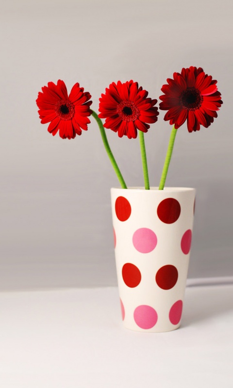 Вазочка с тремя красными герберами обои