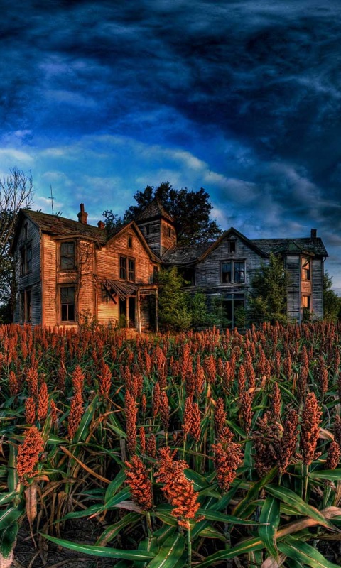 Заброшенный дом  обои