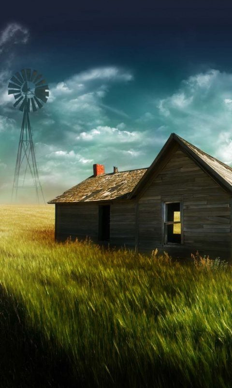 Домик в поле обои