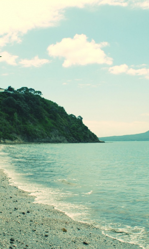 Тропический пляж обои