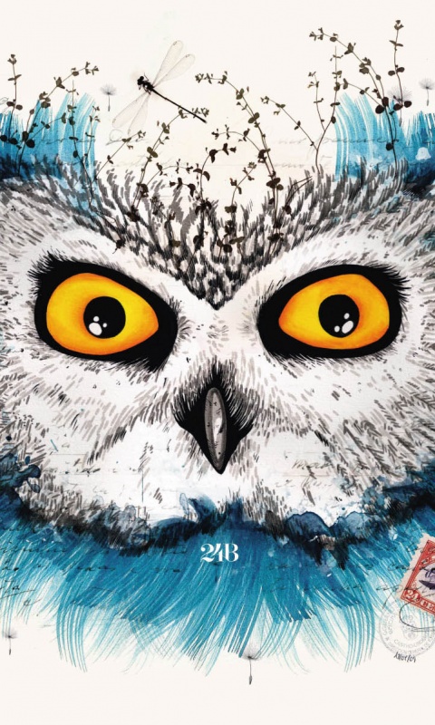 Обои сова для mac book обои