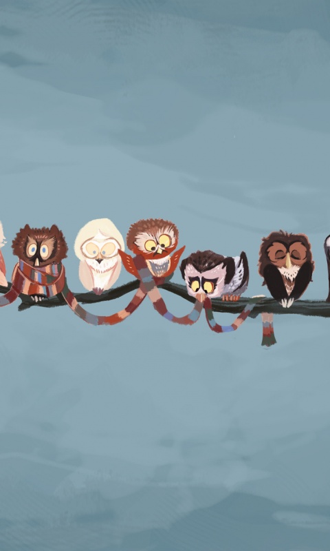 Совы на ветке обои