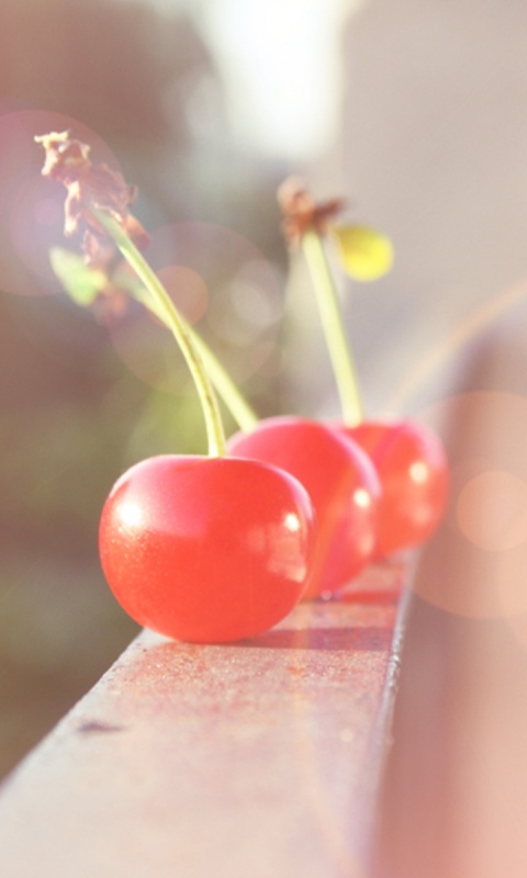 Вишенки на перилах обои