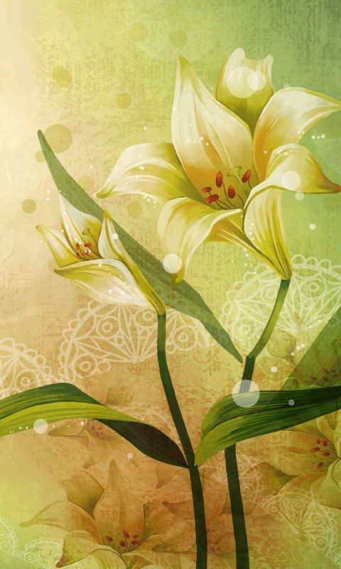 Красивое изображение лилии обои