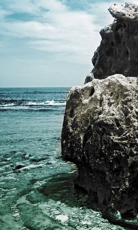 Коралловый риф обои