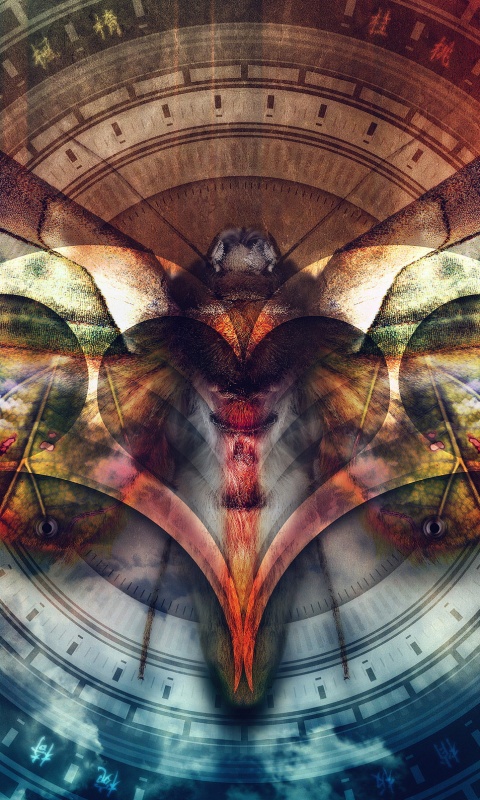 Красивая фэнтезийная бабочка обои