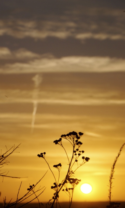 Степной закат обои