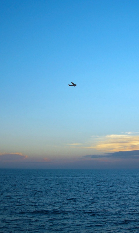 Паращий над морем обои