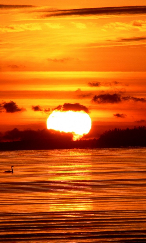 Великолепный рассвет обои