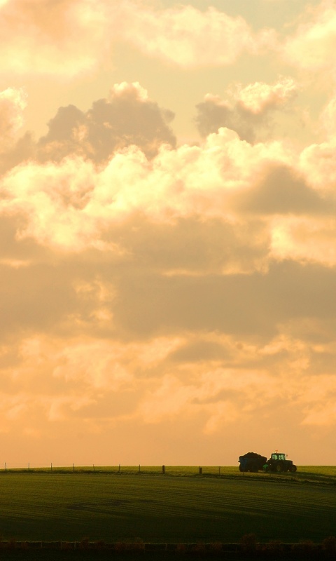 Прекрасный день обои