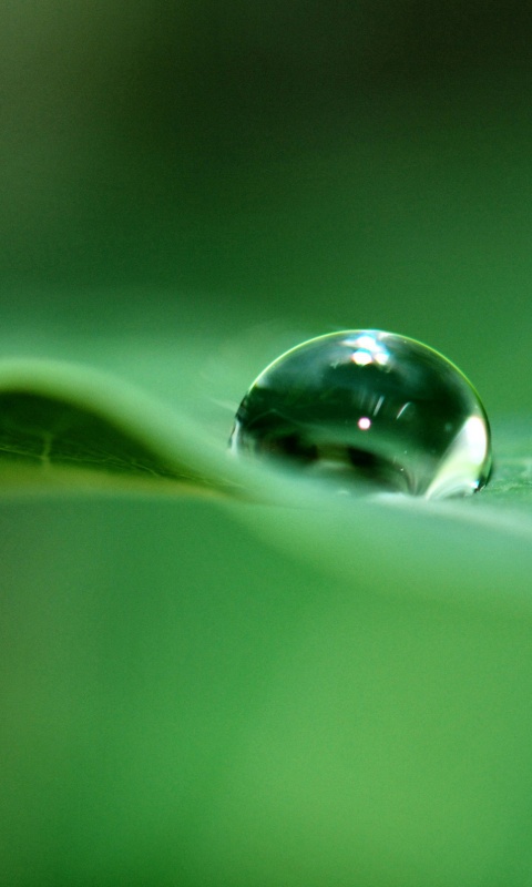 Фотография капли воды в макро обои
