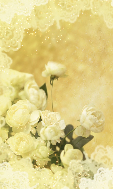 Бежевые кружева и розы обои