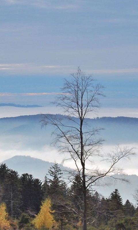 Холмы в тумане обои